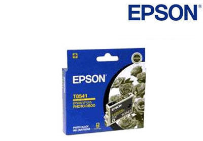Epson C13T054190, T0541 genuine printer cartridge