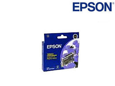 Epson C13T054990, T0549 genuine printer cartridge