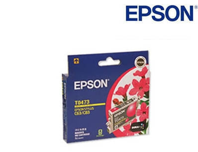 Epson C13T047390 genuine magenta inkjet cartridge